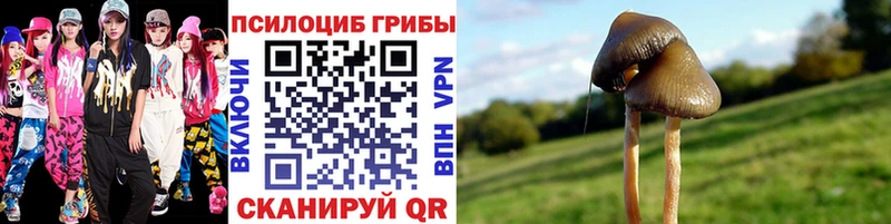 цена   Вязники  Галлюциногенные грибы прущие грибы 