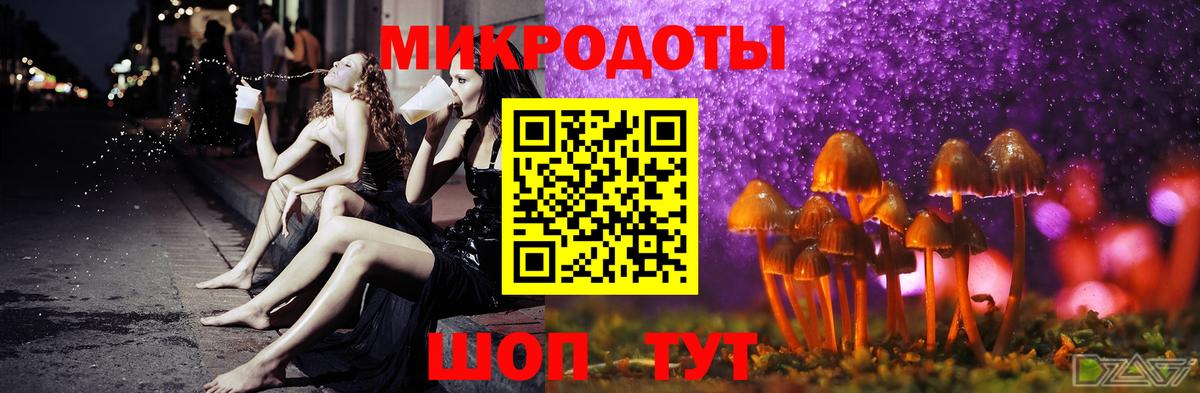 Галлюциногенные грибы Psilocybe  Вход с VPN  Вязники  Галлюциногенные грибы GOLDEN TEACHER 